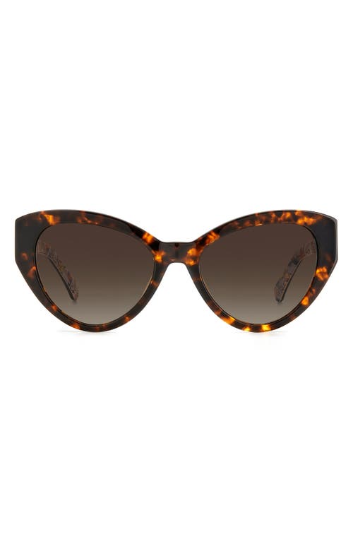 Kate Spade New York Paisleigh 55mm Gradient Cat Eye Sunglasses In Havana/brown