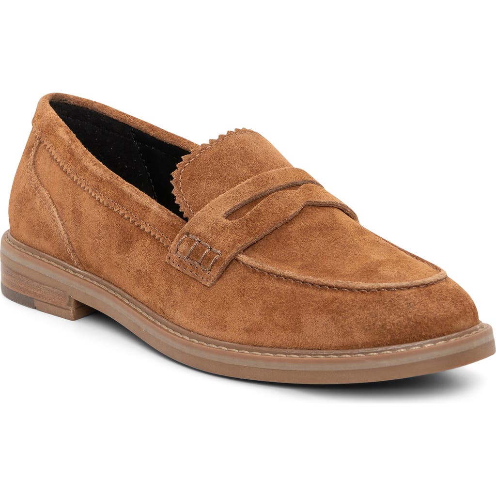 Shop Ara Kalendra Penny Loafer In Nuts