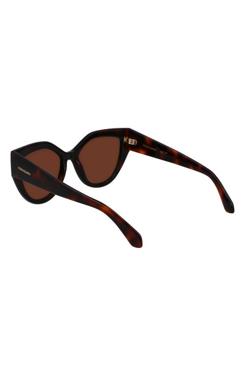 Shop Ferragamo Classic Logo 53mm Cat Eye Sunglasses In Tortoise/black