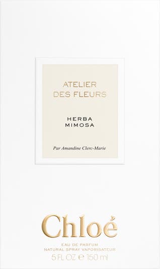 Chloé Atelier des Fleurs Herba Mimosa Eau de Parfum | Nordstrom