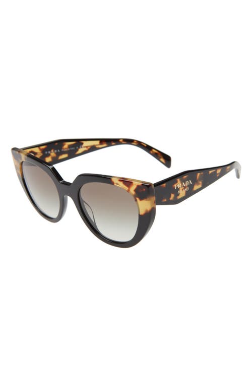 Prada Oversized Acetate Cat-eye Sunglasses In Black/tortoise/grey Gradient