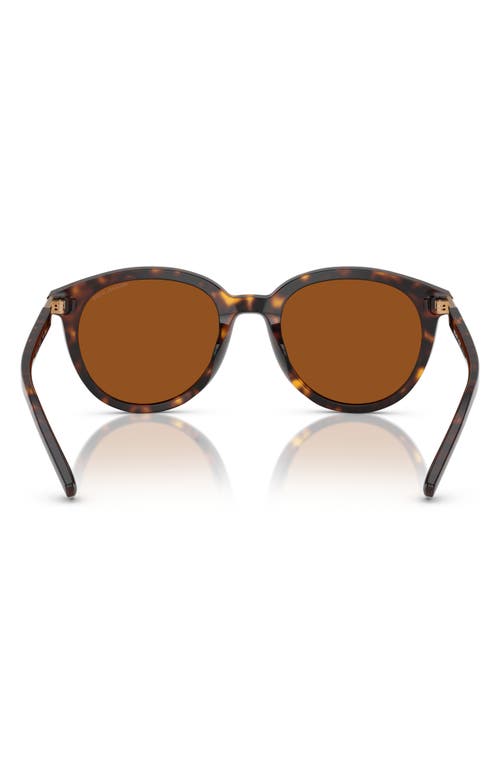 Michael Kors 53mm Round Sunglasses In Dk Tort