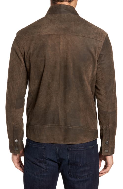 Shop Remy Leather Suede Moto Jacket In Frontier/cocoa