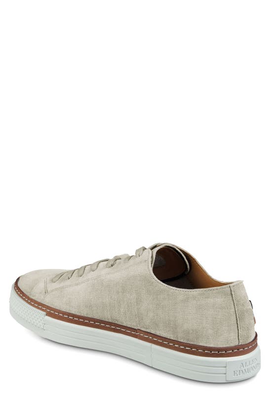 Shop Allen Edmonds Paxton Sneaker In Light Grey