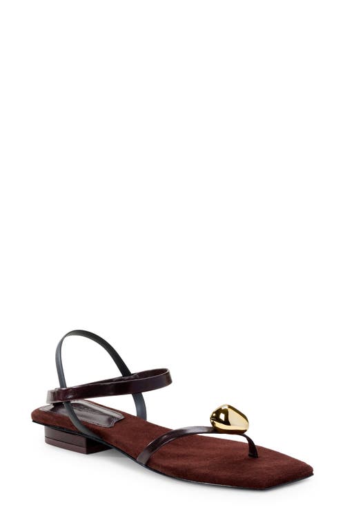 Cult Gaia Illene Strappy Sandal Espresso at Nordstrom,