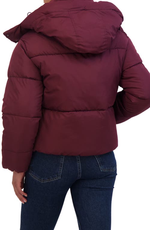 Sebby Short Hooded Puffer Jacket In Burgundy