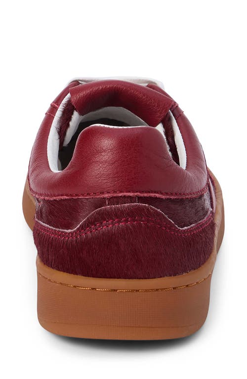 Matisse Quincy Sneaker In Red