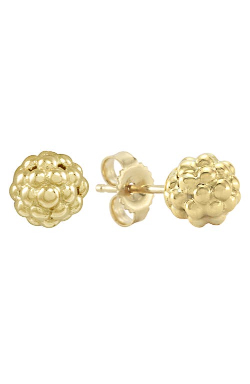 LAGOS Caviar 18K Gold Stud Earrings at Nordstrom