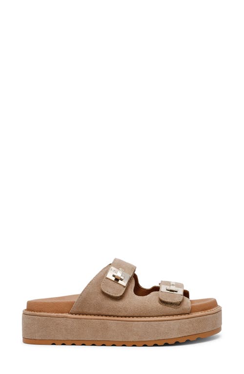 STEVE MADDEN STEVE MADDEN BIGSCHMONA PLATFORM SLIDE SANDAL 