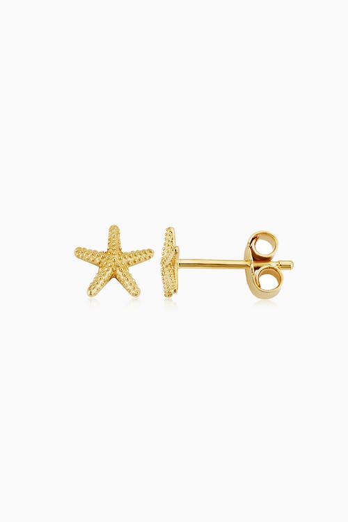 Oradina 14k Yellow Gold Starfish Studs In Yellow Gold