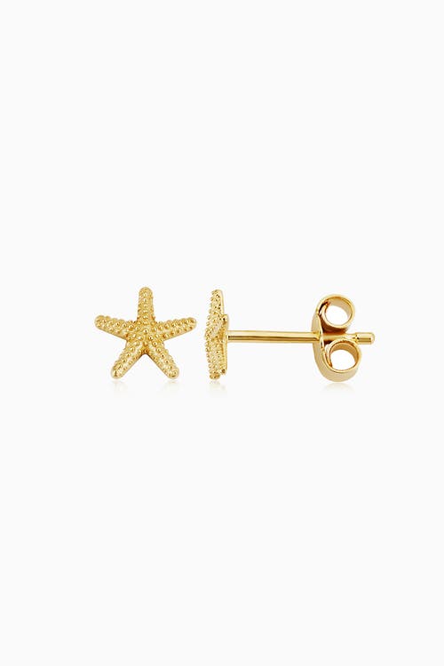 Shop Oradina 14k Yellow Gold Starfish Studs