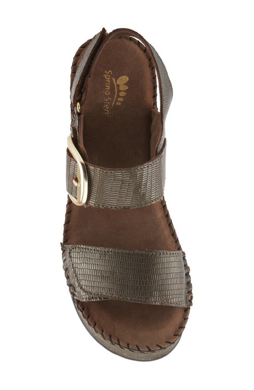 Shop Spring Step Chenda Slingback Platform Sandal In Bronze