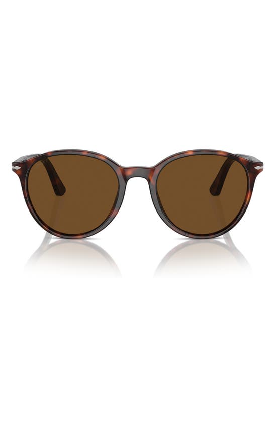 Shop Persol Phantos 56mm Polarized Round Sunglasses In Havana