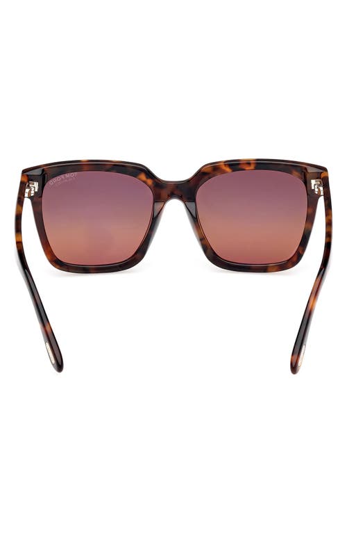 Tom Ford Haylay Acetate Rectangle Sunglasses In Vntg Dk Havana/grad Smk Brown