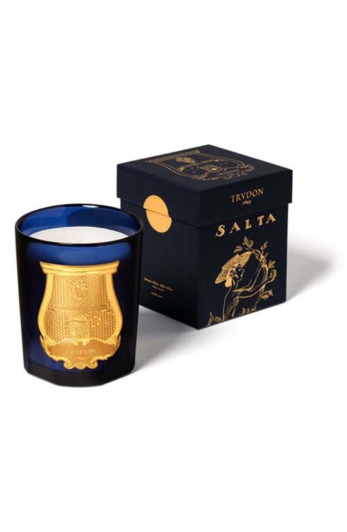 Trudon Salta Grapefruit Candle In Salta