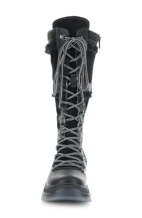 Bos. & Co. Daws Lace Up Boot In Black In Black/grey Saddle/goatlan
