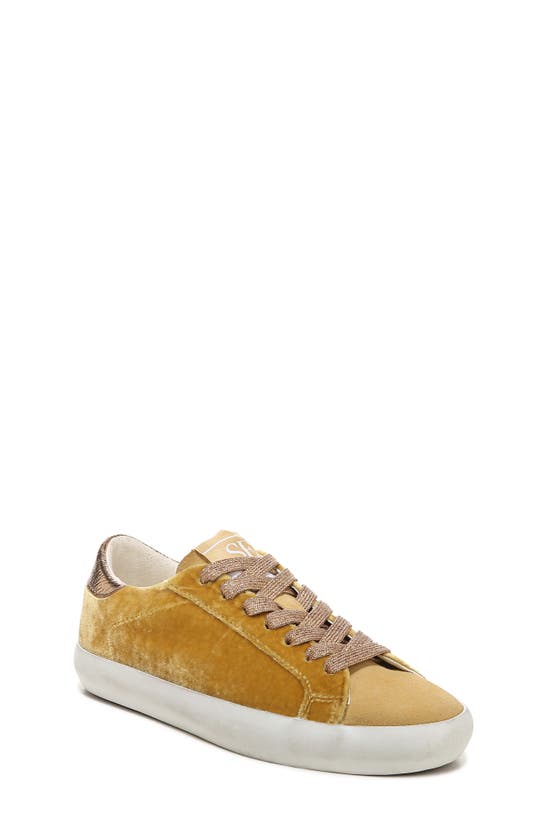 aubrie sneaker sam edelman