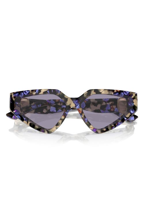Dolce & Gabbana 59mm Butterfly Sunglasses in Havanah Blue Pearl/Grey at Nordstrom