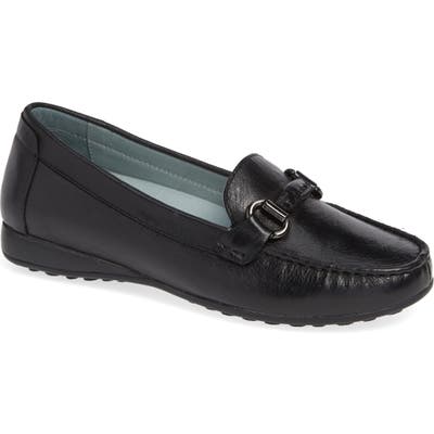 David Tate Women's Shoes