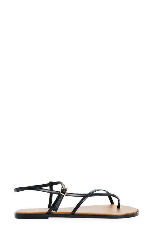 Atp Atelier Capri Ankle Strap Sandal In Black