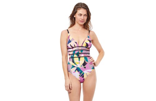Gioa Deep Plunge One piece Swimsuit in Multi Pink