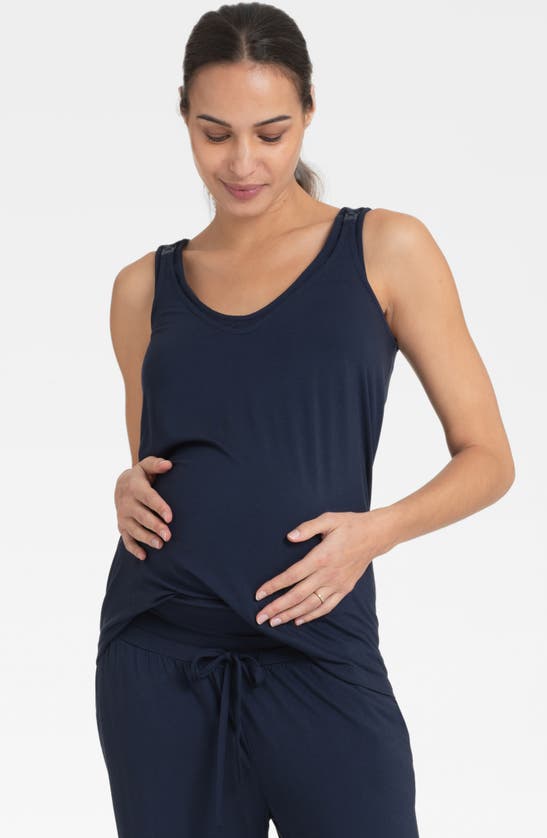 Shop Seraphine Maternity/nursing Pajamas & Robe Set In Navy
