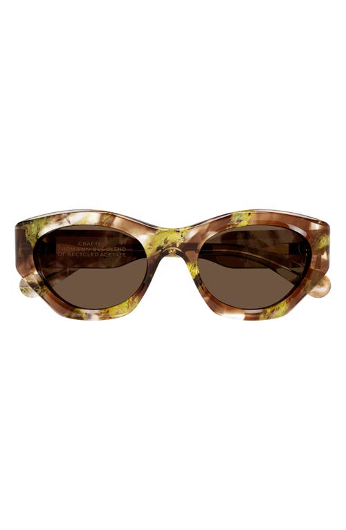 Shop Chloé 53mm Cat Eye Sunglasses In Havana