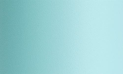 Hydro Flask Standard Mouth Insulated Bottle In Dew