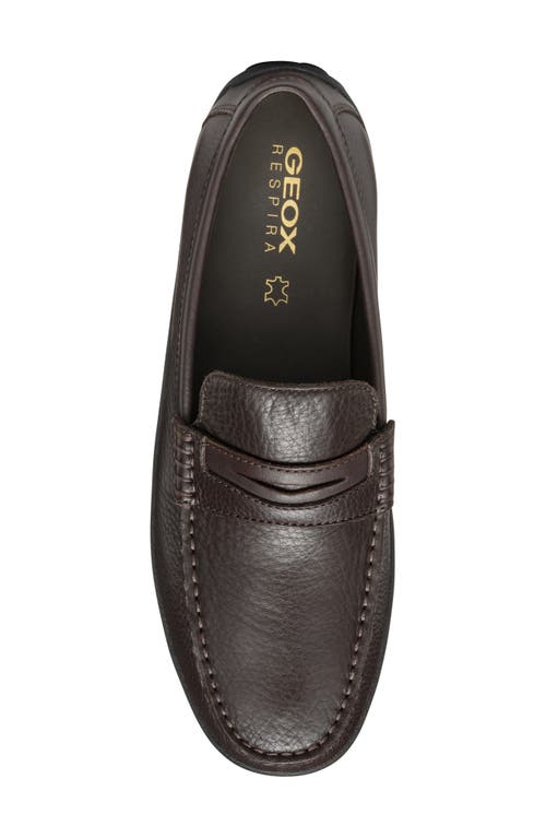 Shop Geox Spherica Penny Loafer In Coffee