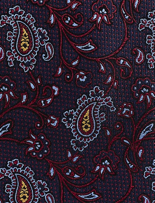 Oak Hill Premium By Dxl Oak Hill Premium Paisley Vines Tie In Burgundy
