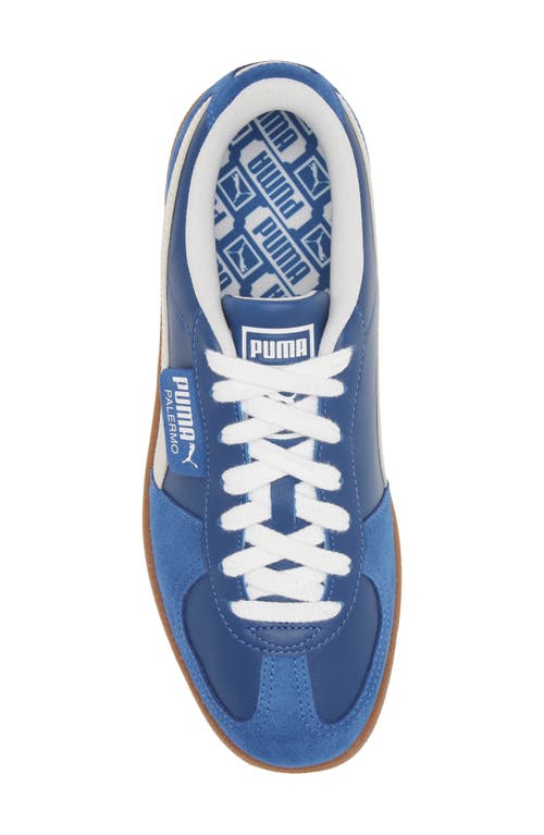 Shop Puma Palermo Sneaker In Clyde Royal- White-gray