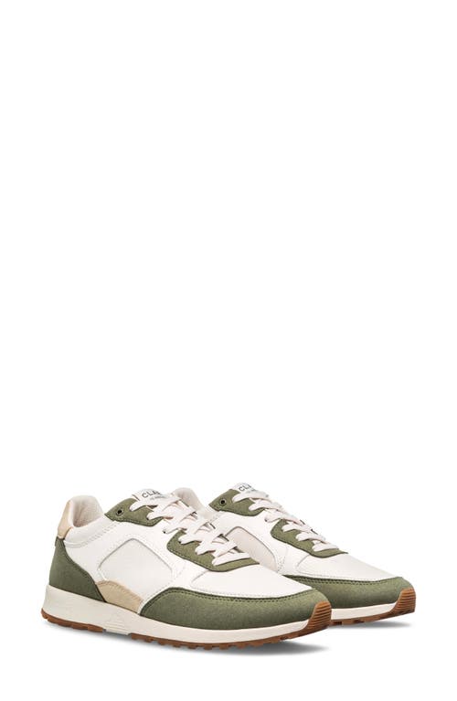 CLAE Joshua Sneaker in Olive Off-White