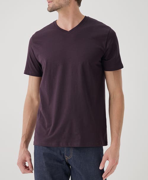 Shop Pact Organic Softspun V-neck Tee In Plum