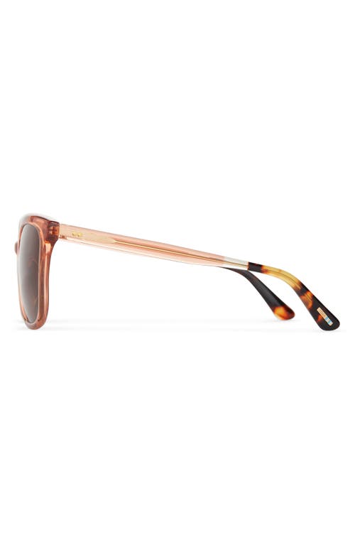 Toms Charmaine 54mm Square Sunglasses In Apricot Crystal/solid Brown