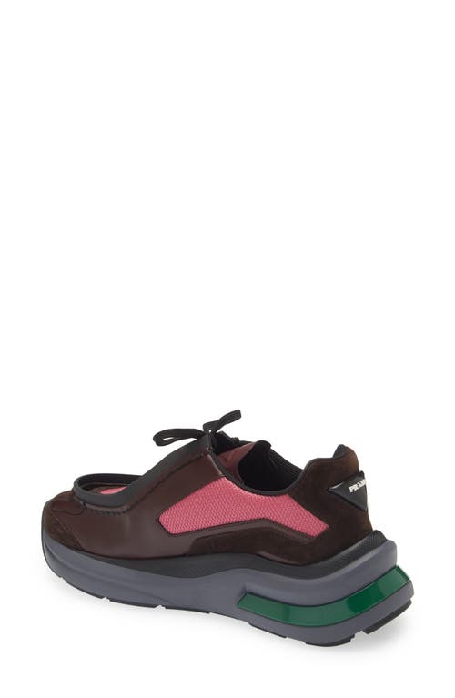 Shop Prada New Mixed Media Sneaker In Granato/peonia