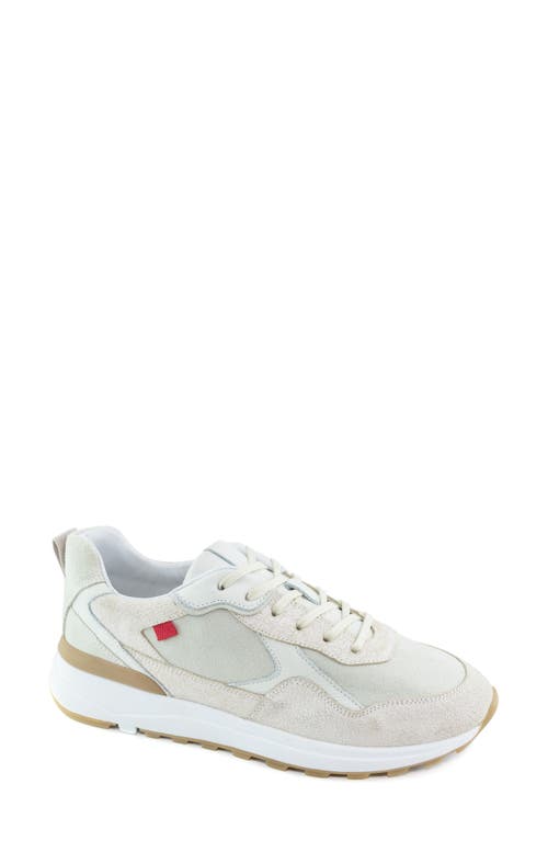 Grant Street Sneaker in Birch