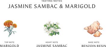 Jo malone jasmine sambac & marigold cologne hot sale