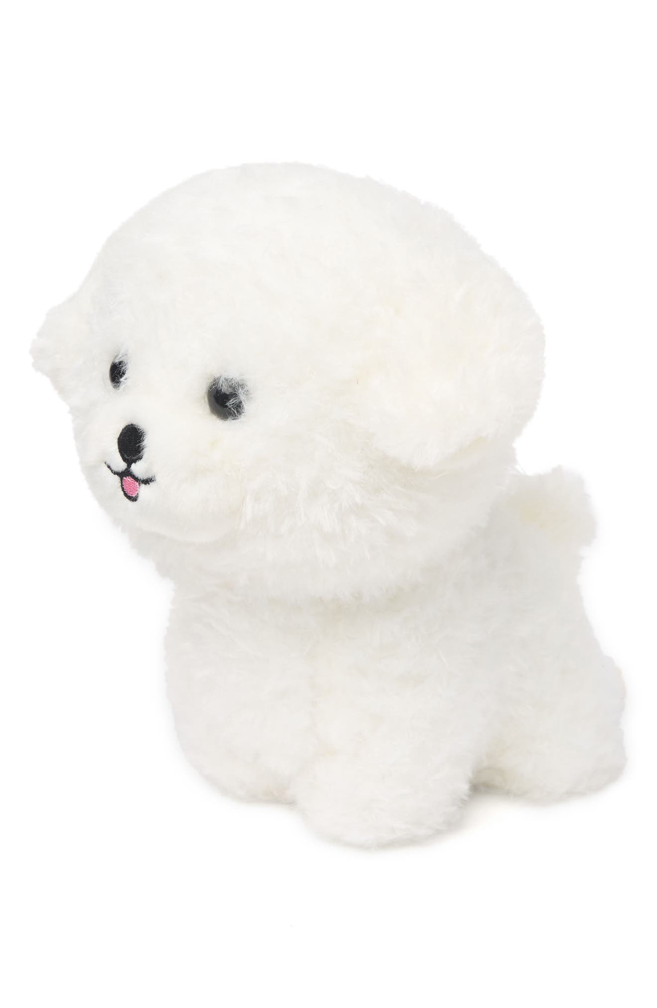 bichon frise teddy