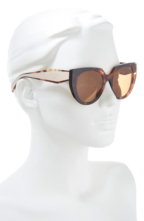 Shop Prada 52mm Irregular Sunglasses In Caramel Havana