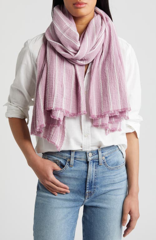 Nordstrom Stripe Cotton Scarf in Purple Combo at Nordstrom