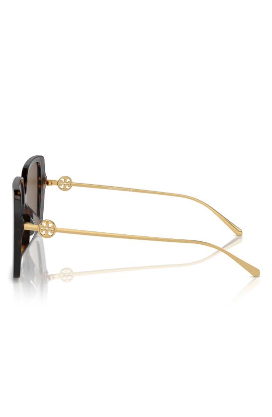 Shop Tory Burch 56mm Square Sunglasses In Tortoise