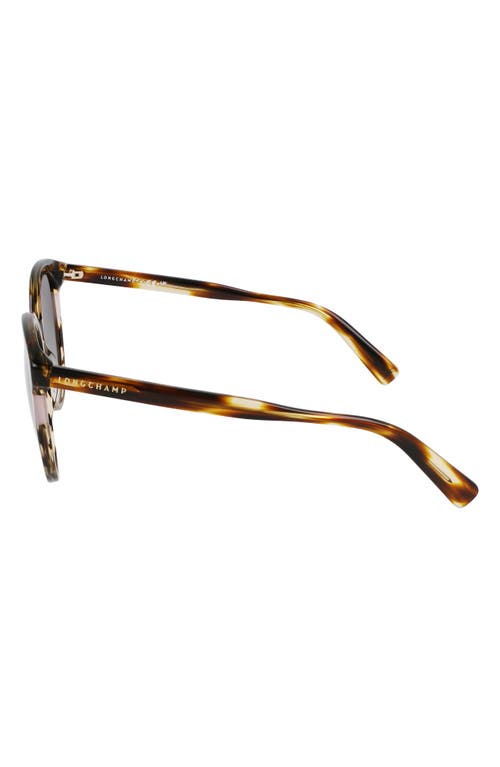 Longchamp Heritage 55mm Gradient Round Sunglasses In Striped Brown