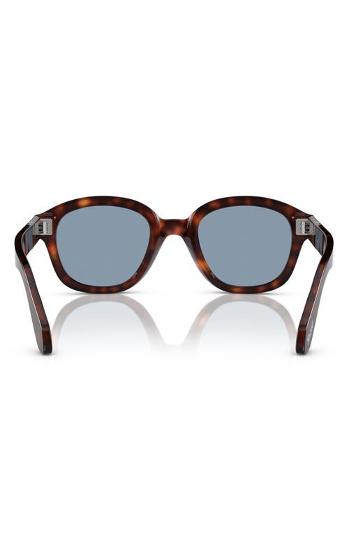 Persol 52mm Phantos Sunglasses In Havana/blue