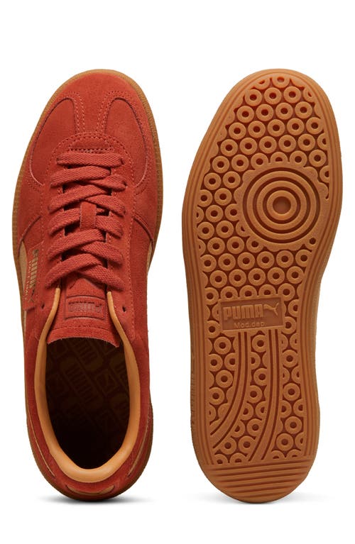 Shop Puma Palermo Sneaker In Mars Red-caramel Latte-gum