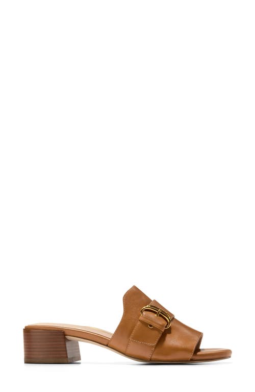 Shop Cole Haan Crosby Slide Sandal In Dark Caramel Leather