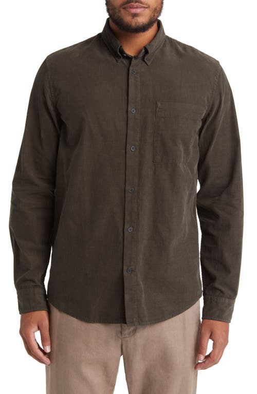 NN07 Arne 5082 Solid Button-Down Shirt at Nordstrom,