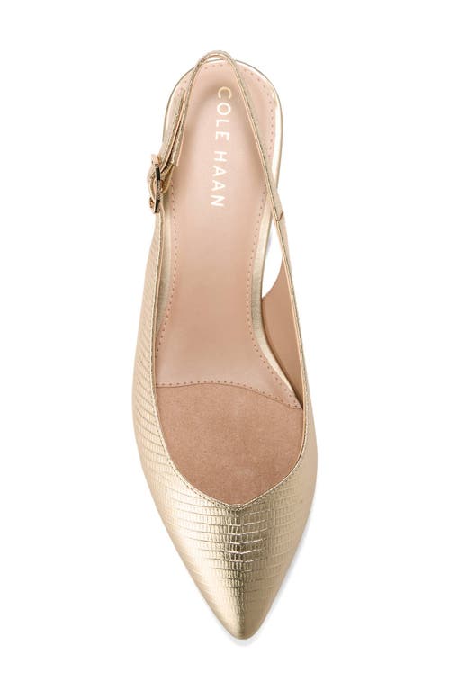 Cole Haan Mazie Slingback Flat In Gold Lizard