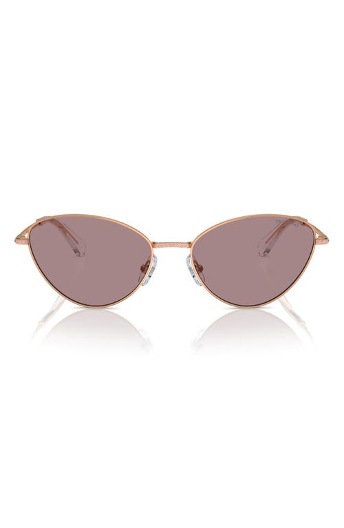 Swarovski 58mm Cat Eye Sunglasses in Rose Gold 