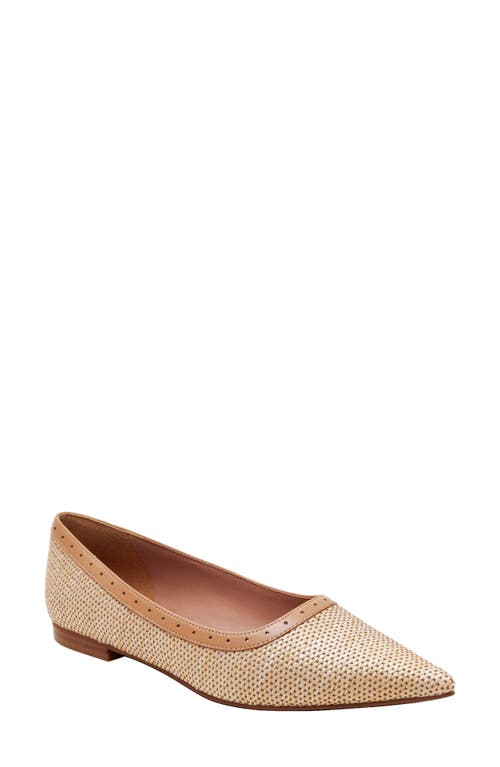 Linea Paolo Newport Pointed Toe Flat at Nordstrom,