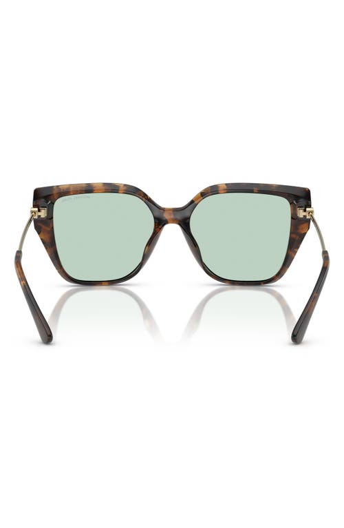 Michael Kors 54mm Square Sunglasses In Dark Tortoise